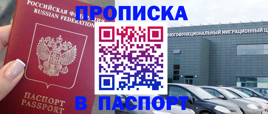 прописка для школы в Раменском